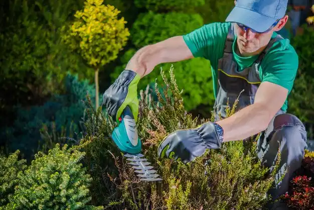 landscaping services Honeoye